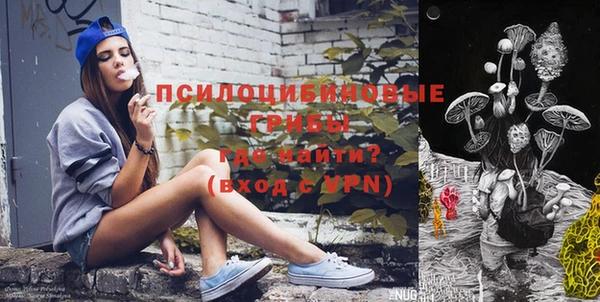 дживик Балахна