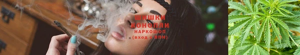 дживик Балахна