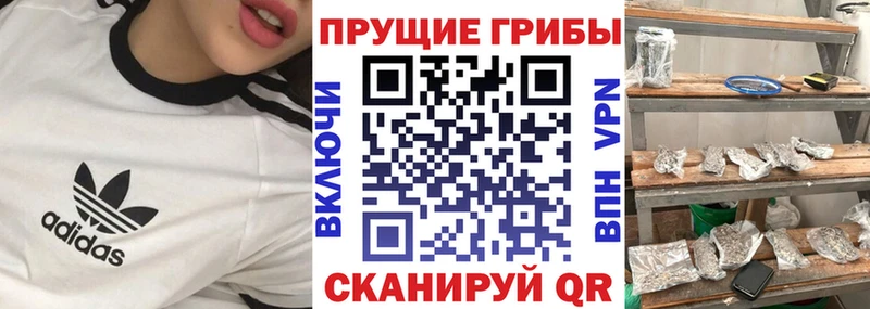 Галлюциногенные грибы мухоморы  как найти закладки  Новосиль 