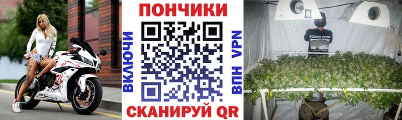 сколько стоит  Новосиль  Марихуана семена 
